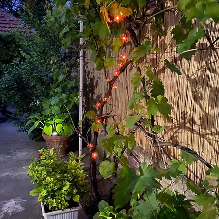 Tadija Nis * Donja Vrezina