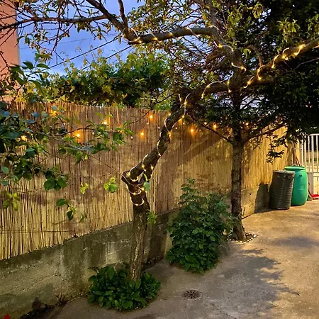 Tadija Nis Appartement