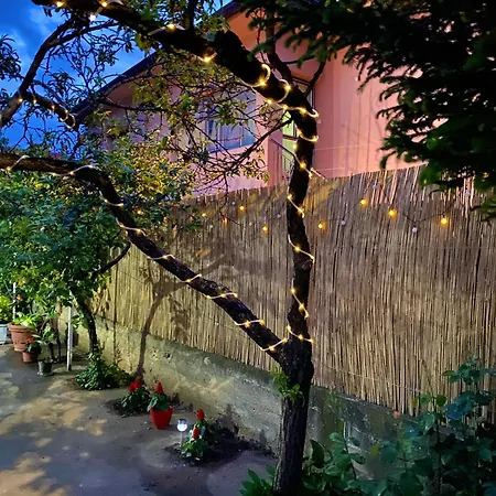 Tadija Nis Donja Vrezina