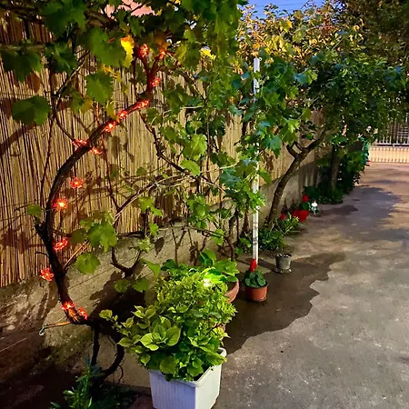 Tadija Nis * Donja Vrezina